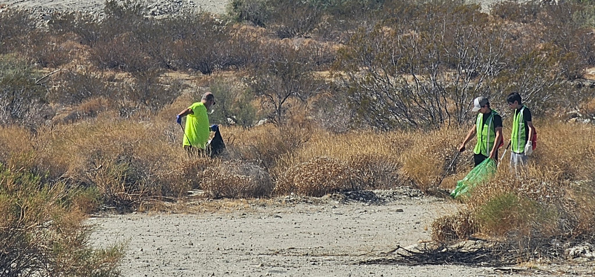 Volunteers collecting litter in the desert during a community cleanup.