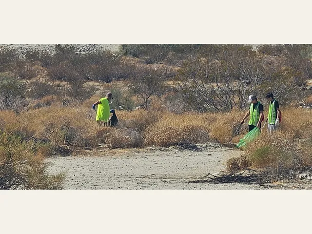 Volunteers collecting litter in the desert during a community cleanup.